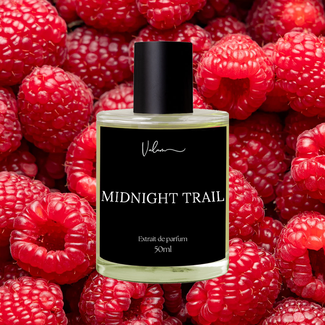 Midnight Trail - Inspired by Louis Vuitton Ombre Nomade - Valam