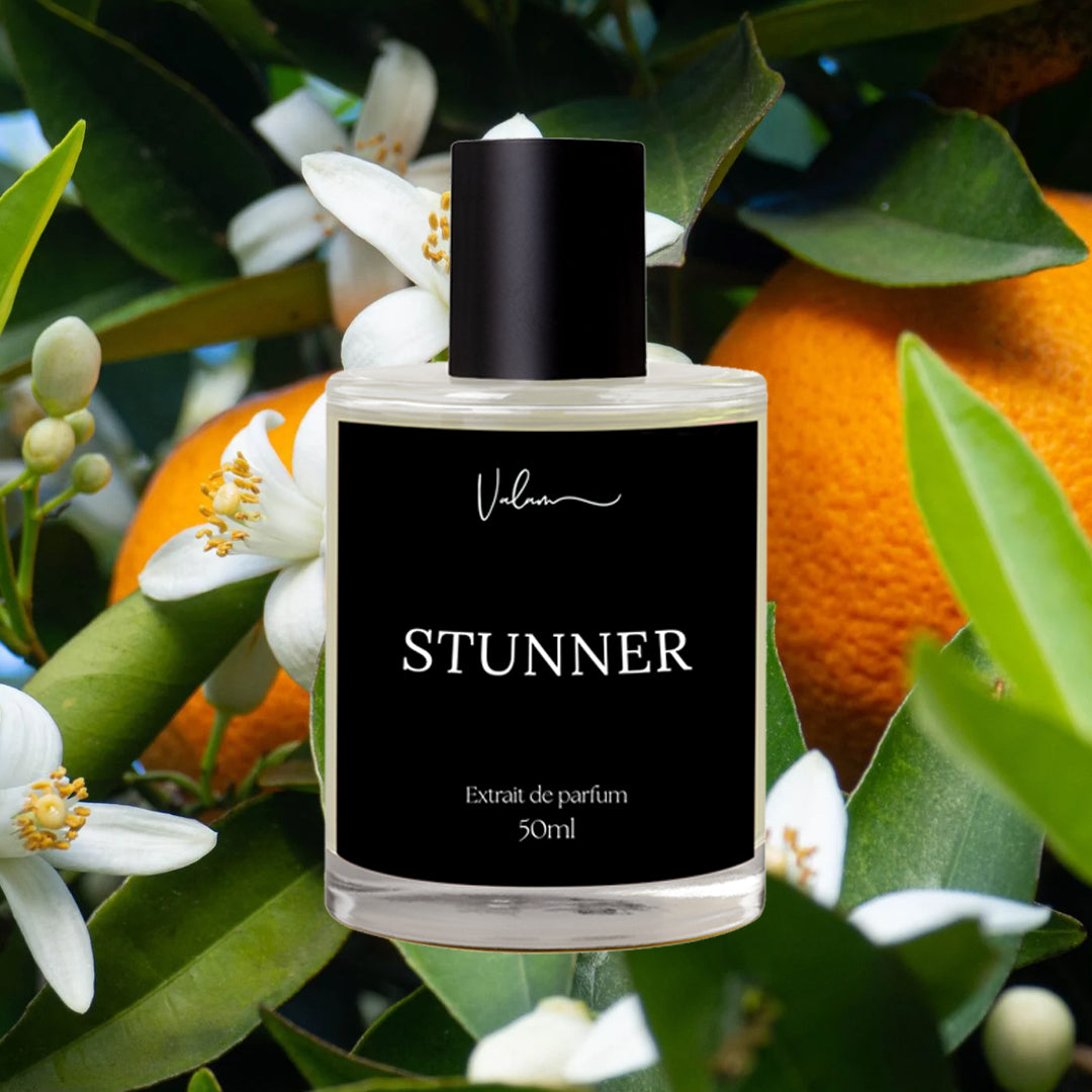 Stunner - Unisex Fragrance Inspired by Louis Vuitton Stellar Times - Valam